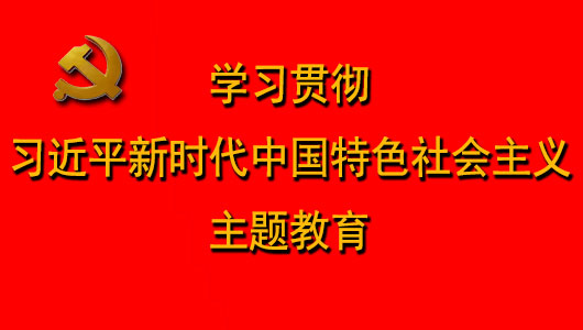 “學(xué)習(xí)貫徹習(xí)近平新時代中國特色社會主義思想主題教育”專欄