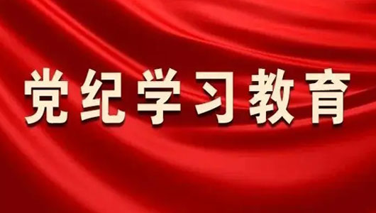 “黨紀(jì)學(xué)習(xí)教育”專欄