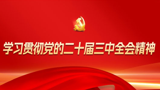 “學(xué)習(xí)貫徹黨的二十屆三中全會精神”專欄